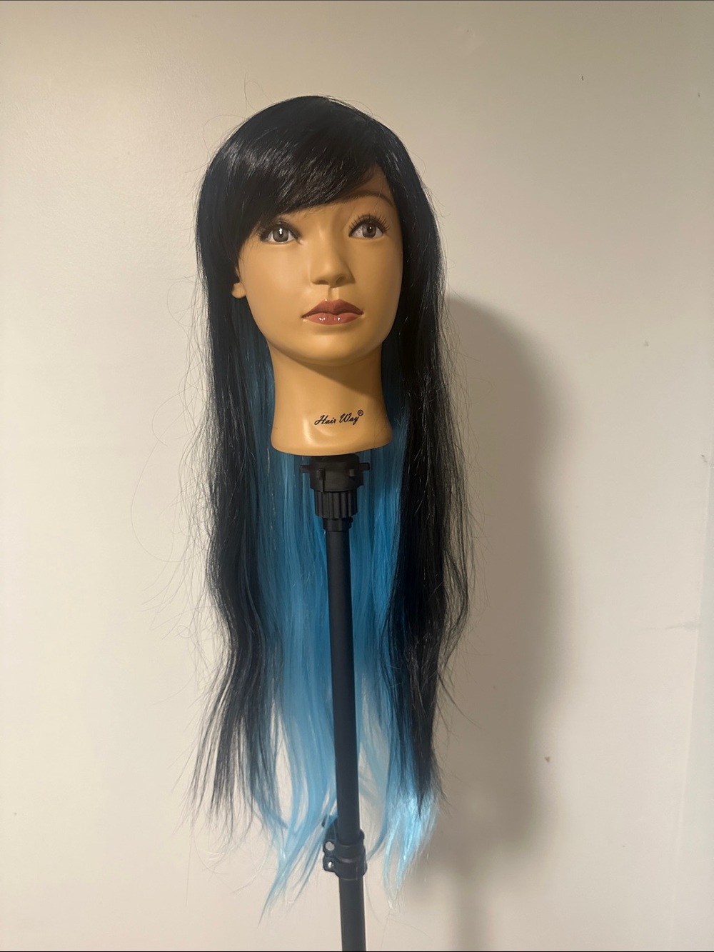 Long Blue and Black 27 inch Synthetic Wig
